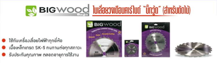 bigwoodSawBlade-txt1