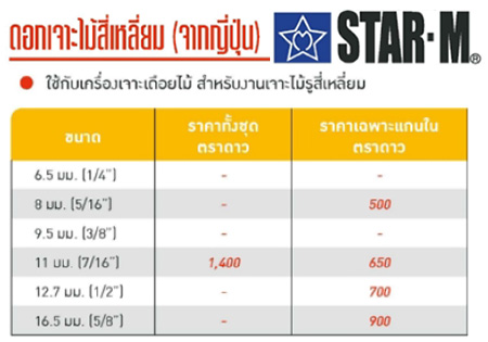 bigwoodSquareDrill-ดอกเจาะไม้สี่เหลี่ยมตราดาว-spec