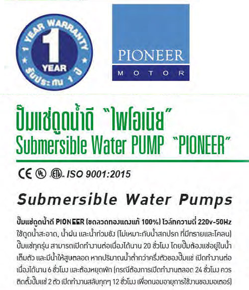 ปั๊มแช่ 100-750 W , 220V. รุ่น PM ยี่ห้อ PIONEER-txt