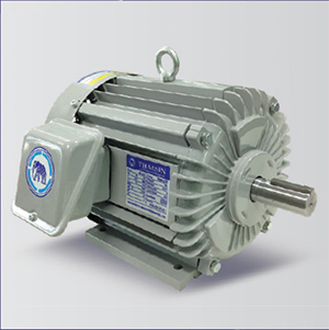 มอเตอร์ไทยสิน tsm-1235TF-1