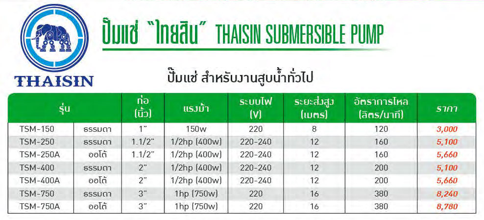 ปั๊มแช่ 150 - 750 W , 220V รุ่น TSM ยี่ห้อ THAISIN-spec