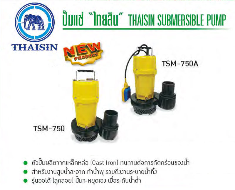 ปั๊มแช่ 150 - 750 W , 220V รุ่น TSM ยี่ห้อ THAISIN-TSM2