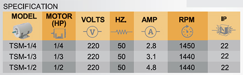 มอเตอร์ 220V SplitPhase Start-TSM1/4-spec