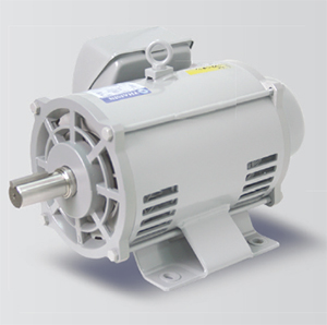 มอเตอร์ 220V SplitPhase Start-tsm-2